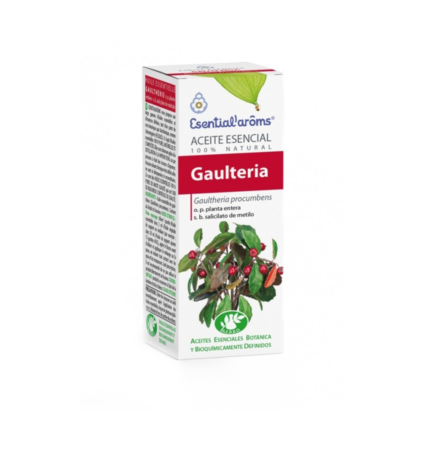 Ulei esential de Wintergreen/ Gaultheria procumbens, 10ml