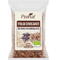 FULGI CROCANTI BIO DE OVAZ CU CIOCOLATA 250G