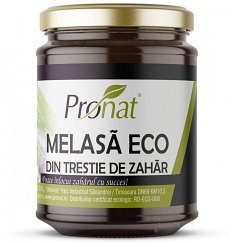 Melasa bio din trestie de zahar, 1000 g