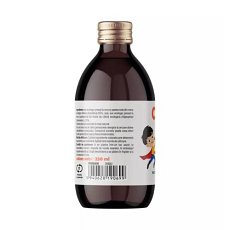 ECO/BIO Suc de catina cu mere 250ml, Catibun